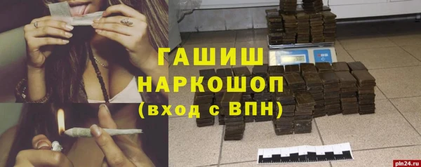 стаф Алексин