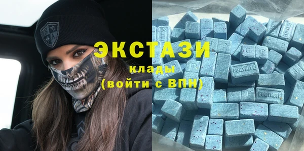 стаф Алексин