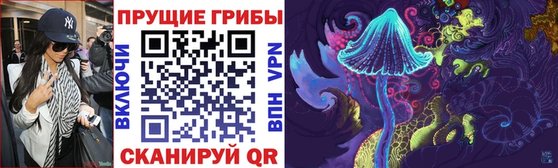 где купить наркоту  Анапа  Галлюциногенные грибы Magic Shrooms 